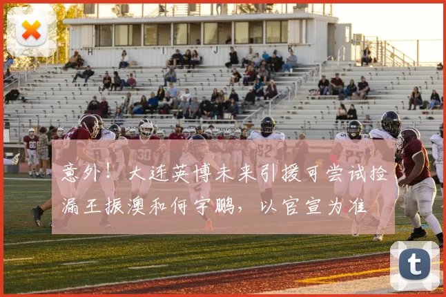 意外！大连英博未来引援可尝试捡漏王振澳和何宇鹏，以官宣为准